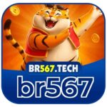 Profile picture of br567tech
