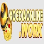 Profile picture of xocdiaonlinework1