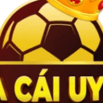 Profile picture of nhacaiuytin Top WEB uy tín