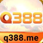 Profile picture of Q388