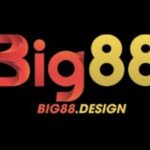 Profile picture of big88 design