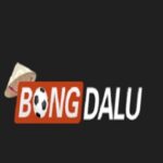 Profile picture of nhacaibongdalu1