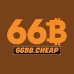 Profile picture of 66Bbcheap