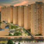 Profile picture of Sobha World CIty