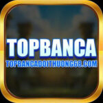 Profile picture of topbancadoithuong68