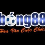 Profile picture of bong88free nam