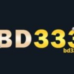 Profile picture of BD333 App