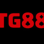 Profile picture of stg88com