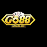 Profile picture of GO88 Black