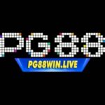 Profile picture of PG88 Cổng Cá Cược Thể Thao & Casino Trực Tuyến