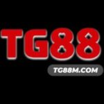 Profile picture of TG88 MCOM