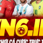 Profile picture of VN6 BNEW