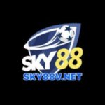 Profile picture of SKY88 VNET