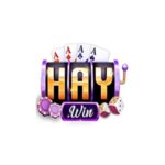 Profile picture of haywin1app