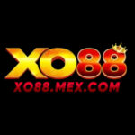 Profile picture of xo88mexcom