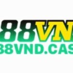 Profile picture of 888vndcash