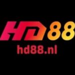 Profile picture of Hd88 nl