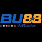 Profile picture of Du88 autos