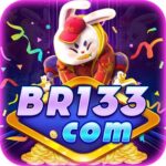 Profile picture of br133org