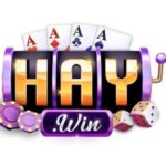 Profile picture of Haywin