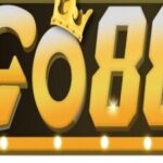 Profile picture of go88vco