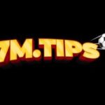 Profile picture of Ceo Jonathan Nguyễn