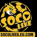 Profile picture of Socolive Trực Tiếp Bóng Đá Full HD
