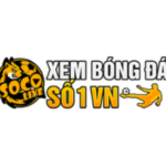 Profile picture of socolivetv10com