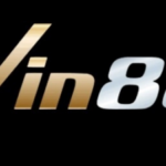 Profile picture of Nhà cái VIN88