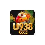 Profile picture of u938