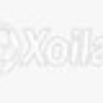 Profile picture of xoilaccity