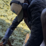 Profile picture of Gutter Cleaning East York