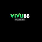 Profile picture of vivu88bioo