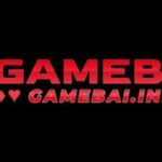 Profile picture of gamebaiink