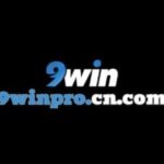 Profile picture of 9Winpro cn com