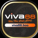 Profile picture of viva88boo8386