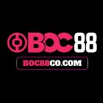 Profile picture of boc88cocom
