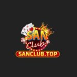 Profile picture of sanclubtopvn