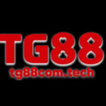 Profile picture of tg88comtech