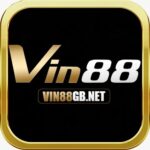 Profile picture of VIN88