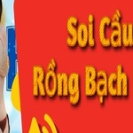 Profile picture of Soi Cầu 247