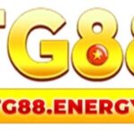 Profile picture of TG88 Cổng Game Uy Tín Trải Nghiệm Ổn Định
