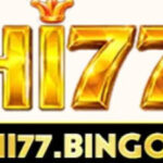 Profile picture of hi77bingo