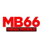 Profile picture of MB66 MOBILE