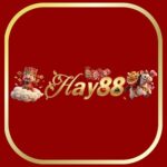 Profile picture of hay88zitcom
