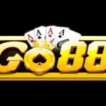 Profile picture of go88v2net