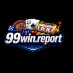 Profile picture of 99winreport