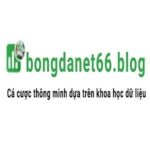 Profile picture of bongdanet66blog