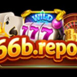 Profile picture of 66breport