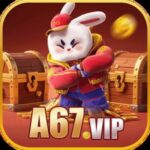 Profile picture of A67